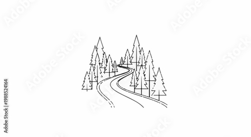 A winding road through a forest of pine trees