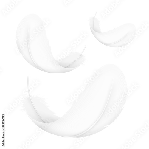 Bird feather mockup set. Symbol for indicating that a product is lightweight, soft, gentle, hypoallergenic and etc. Hight realistic vector illustration isolated on white backgrounds. EPS10.