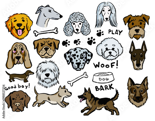 Dog breeds collection, colorful pet head set, hand drawn domestic animal face. Funny puppy portrait, bright canine sticker kit, doodle sketch dog breeds.