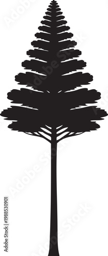 Majestic tree silhouette with detailed bare branches, large old tree isolated on white background vector illustration.