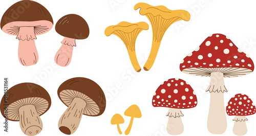 Flat Style Forest Mushroom Collection with Porcini, Chanterelle, Fly Agaric, and Wild Mushrooms Nature Botanical Vector Illustration Set