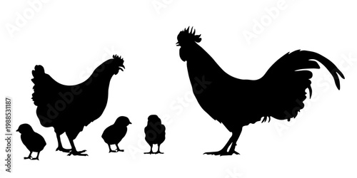 Farm poultry silhouettes set – chicken, rooster and chicks isolated on white background