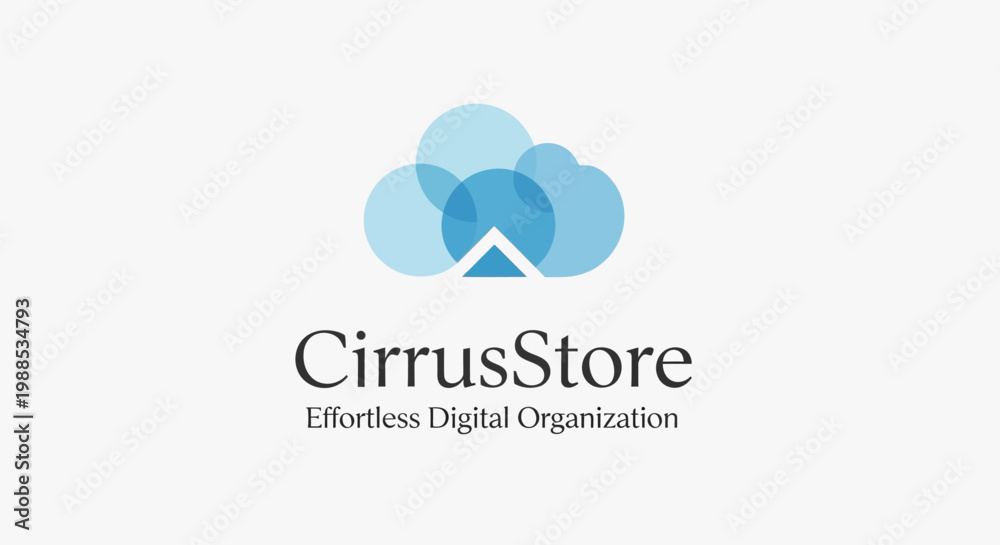 Obraz premium CirrusStore digital organization logo design.