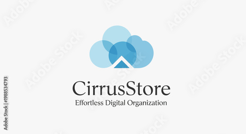 CirrusStore digital organization logo design.