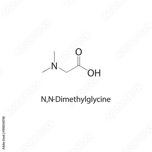N,N-Dimethylglycine skeletal structure. amino acid compound schematic illustration. Simple diagram, chemical formula.