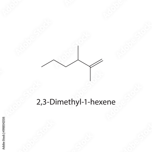 2,3-Dimethyl-1-hexene skeletal structure. alkene compound schematic illustration. Simple diagram, chemical formula.