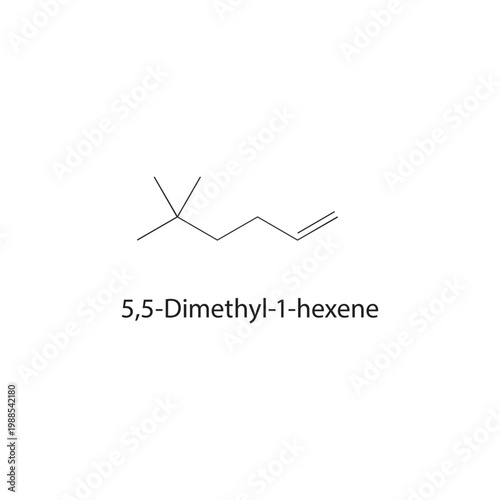 5,5-Dimethyl-1-hexene skeletal structure. alkene compound schematic illustration. Simple diagram, chemical formula.