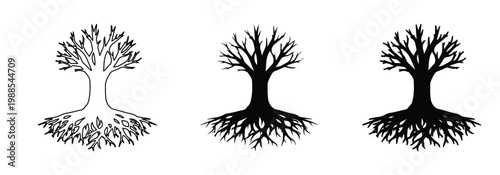 Set of 3 Tree with Roots Outline and Silhouette Icons Vector