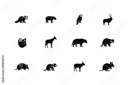 Wild Animals Silhouette Vector Set Safari and Forest Animals Icons Minimal Black Wildlife Collection