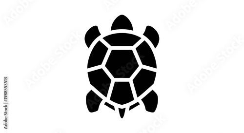 Simple Black Turtle Silhouette Icon on White Background