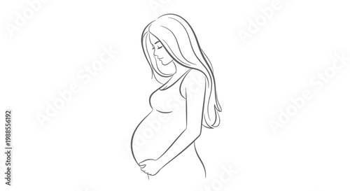 Gentle Line Art Illustration of a Pregnant Woman Lovingly Holding Her Baby Bump on an Isolated White Background