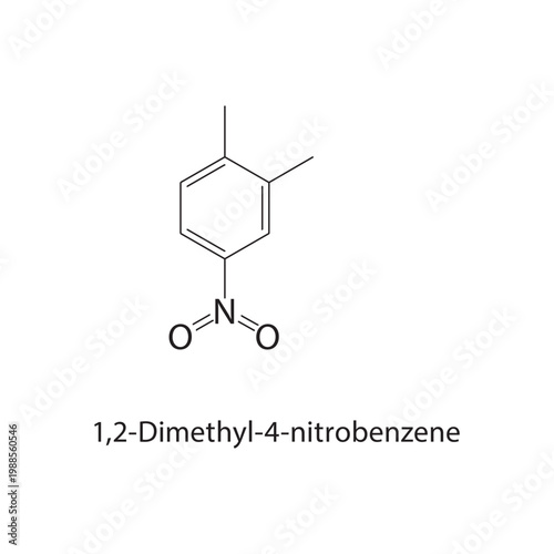 1,2-Dimethyl-4-nitrobenzene skeletal structure. nitro compound compound schematic illustration. Simple diagram, chemical formula.