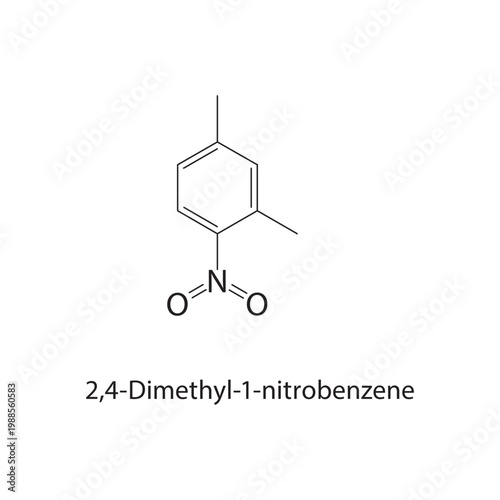 2,4-Dimethyl-1-nitrobenzene skeletal structure. nitro compound compound schematic illustration. Simple diagram, chemical formula.