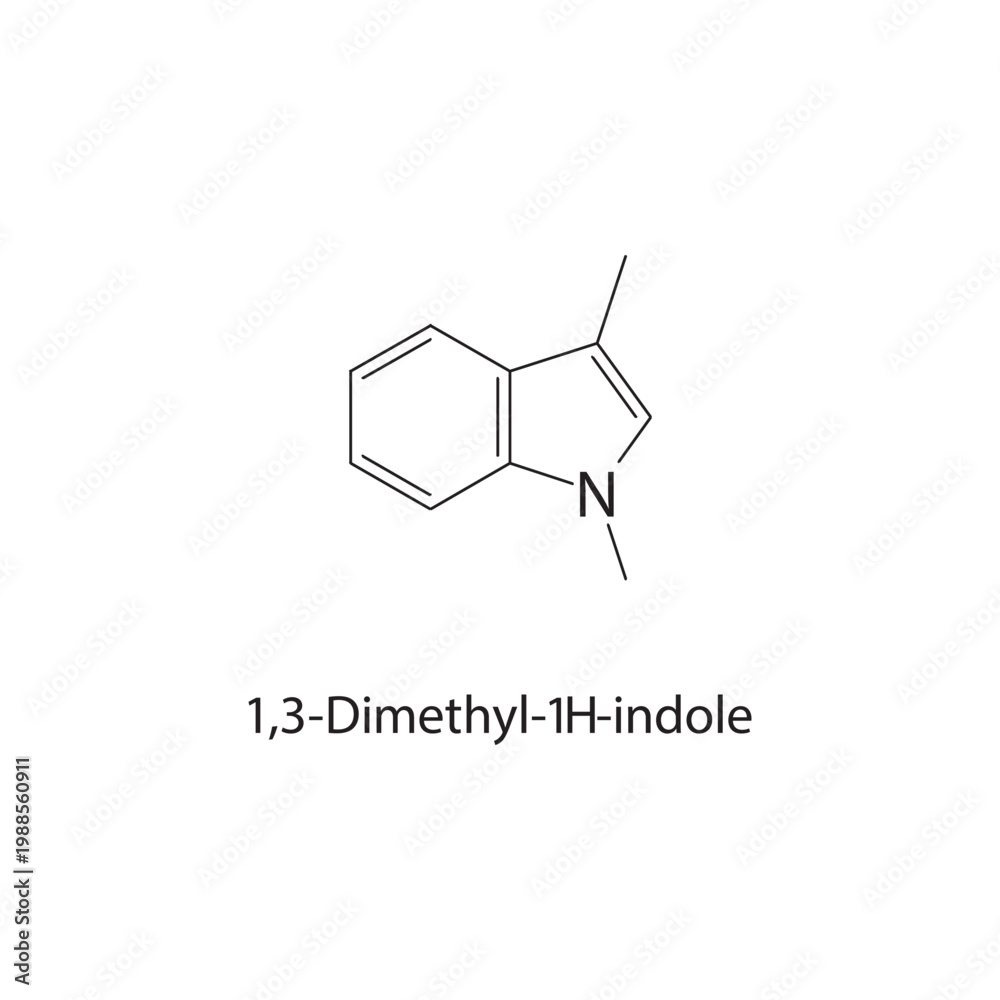 Fototapeta premium 1,3-Dimethyl-1H-indole skeletal structure. indole compound schematic illustration. Simple diagram, chemical formula.
