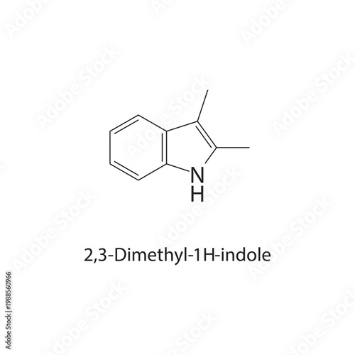 2,3-Dimethyl-1H-indole skeletal structure. indole compound schematic illustration. Simple diagram, chemical formula.
