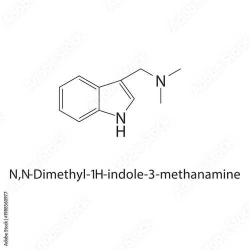 N,N-Dimethyl-1H-indole-3 methanamine skeletal structure. amine compound schematic illustration. Simple diagram, chemical formula.