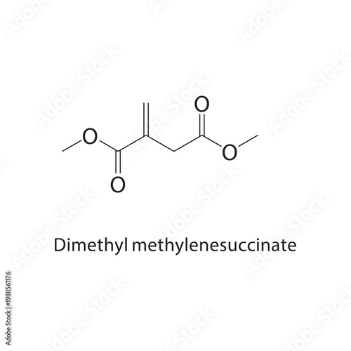 Dimethyl methylenesuccinate skeletal structure. ester compound schematic illustration. Simple diagram, chemical formula.