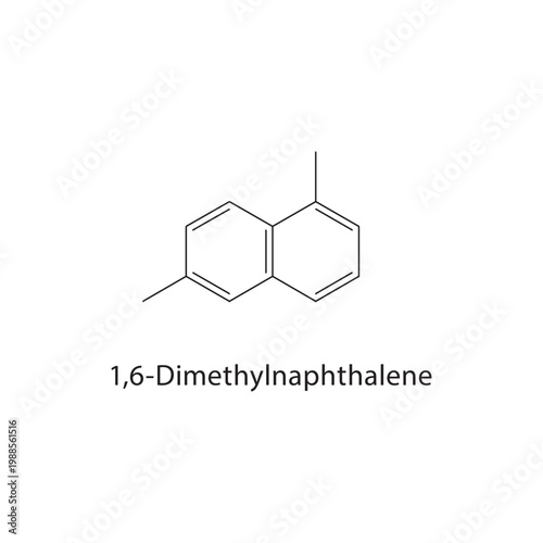 1,6-Dimethylnaphthalene skeletal structure. aromatic compound schematic illustration. Simple diagram, chemical formula.