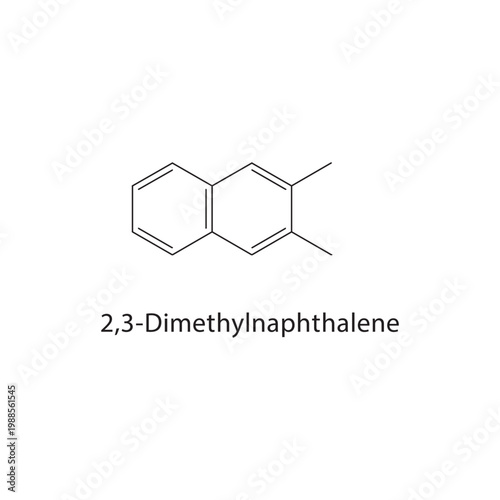 2,3-Dimethylnaphthalene skeletal structure. aromatic compound schematic illustration. Simple diagram, chemical formula.