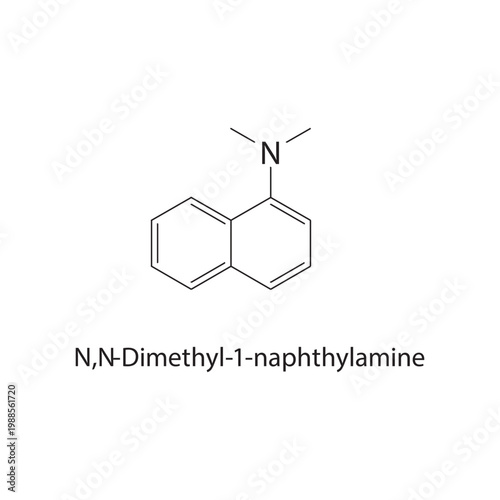 N,N-Dimethyl-1-naphthyl amine skeletal structure. amine compound schematic illustration. Simple diagram, chemical formula.