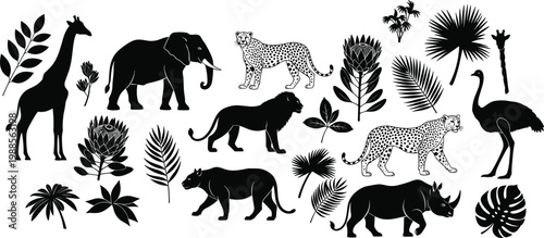Safari animal silhouettes with tropical leaves collection including elephant, giraffe, lion, leopard, rhino and ostrich, black vector set isolated on light background