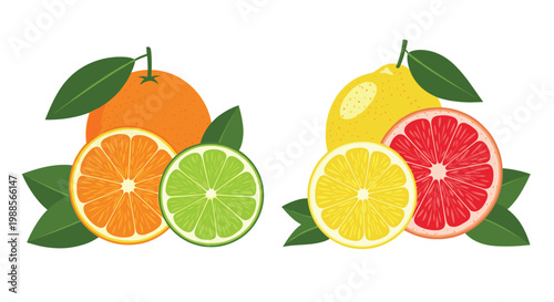 Collection of whole and sliced citrus fruits including orange, lemon, lime, and red grapefruit with fresh green leaves on white background.