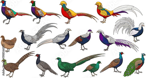 Diverse Collection of Colorful Pheasants and Birds