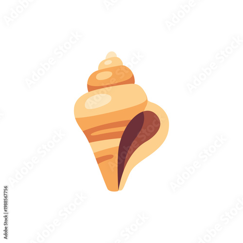 beige brown cone shell, tropical sea shell, colorful illustration