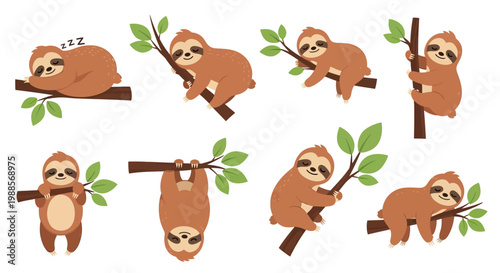 Collection of adorable sloth illustrations hanging from tree branches.
