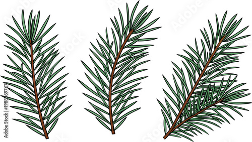 Three realistic pine branches with detailed green needles isolated on white