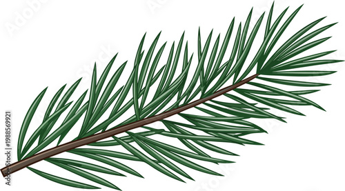 3 d rendered glossy pine branch with dark green needles