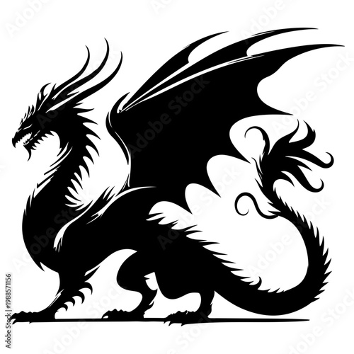 black and white dragon vector