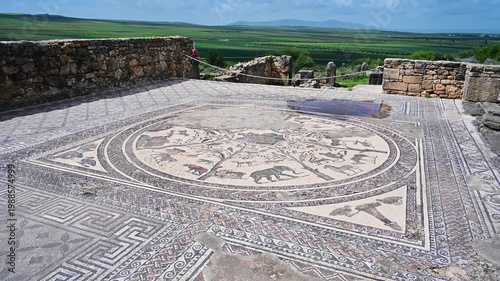 Ancient roman mosaic of animals at Volubilis in Morocco
