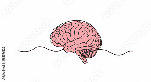 Illustration of a human brain with nerves.