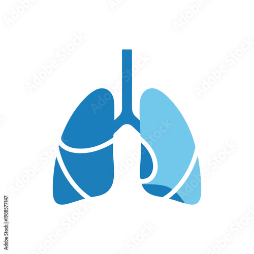 A minimalist blue graphic representation of human lungs featuring a trachea and segmented lobes isolated on a plain white background.