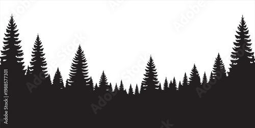 Forest of Christmas fir trees silhouette. Coniferous spruce panorama. Park of evergreen wood. Vector on white background