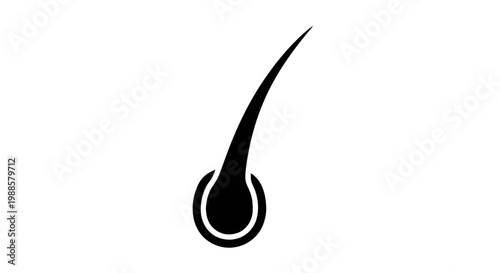 Vector illustration of hair follicle icon, vector illustration of a hair strand with root on a transparent background