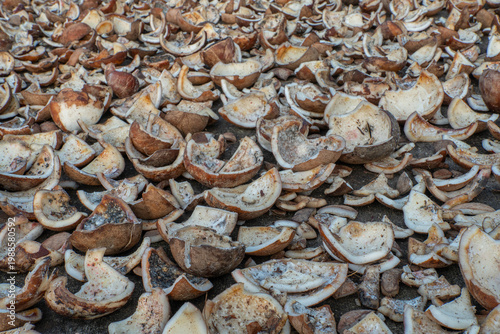 Raw coconut meat pieces drying under the sun for copra production. Traditional agricultural processing in a tropical environment.