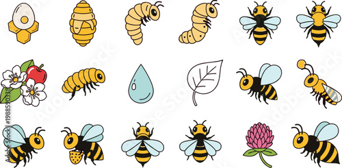 Professional Honey Bee Life Cycle Illustration Set Featuring Queen Bee Larva Honeycomb and Pollination Elements for Nature and Educational Graphic Designs