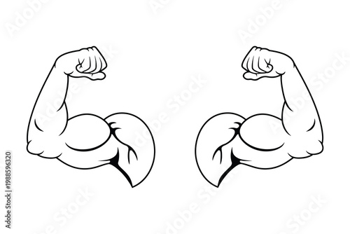 Outline vector illustration of two flexing muscular biceps on white background