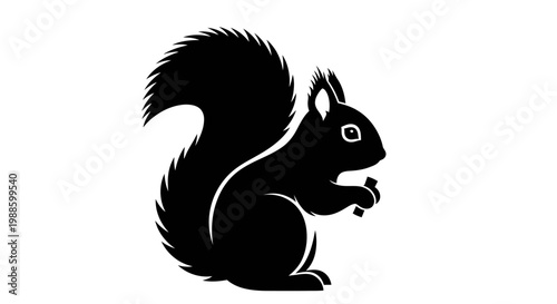 A fluffy red squirrel with a long furry tail sits on a branch against a white background, eating a nut in a cute display of wild nature