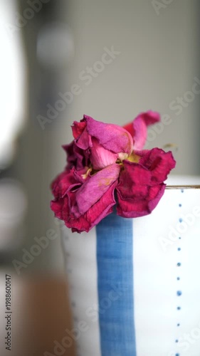 Vertical close-up of a dried red rose in a blue-striped ceramic cup for concept of fading beauty, loneliness, and nostalgia