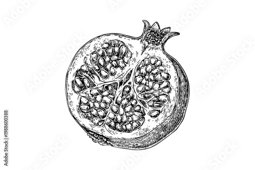 Hand drawn black and white sketch of sliced pomegranate on transparent background