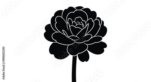 A striking black and white silhouette of a fully bloomed peony flower on a white background