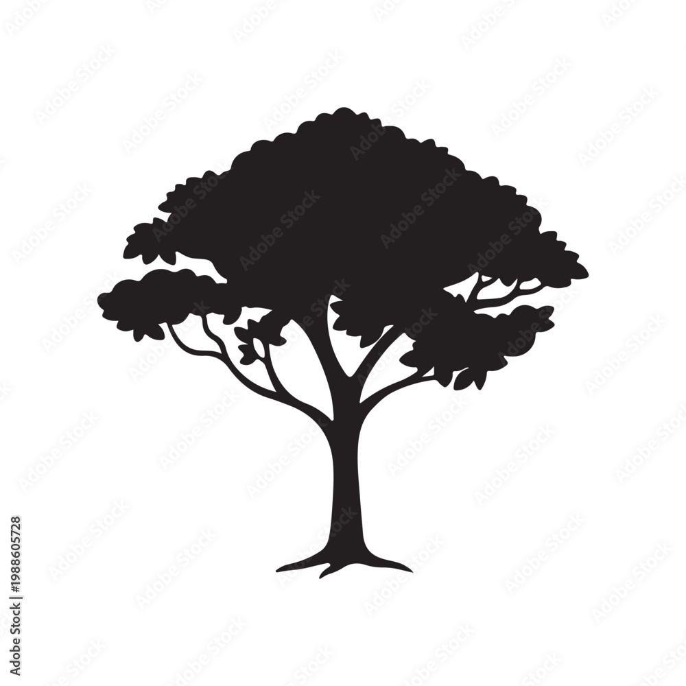 Fototapeta premium Tree Silhouette with Wide Rounded Leaf Clusters