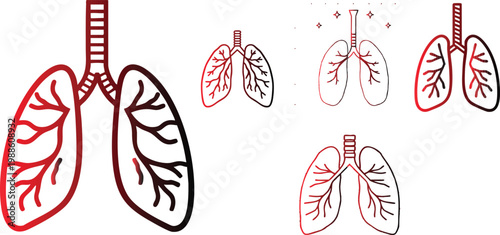 Vector Icon of Lungs, Outline Style, Symmetrical Curves, Minimal, White Background