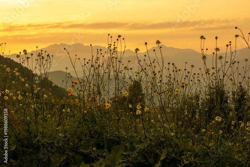 Majestic sunset in the mountains landscape