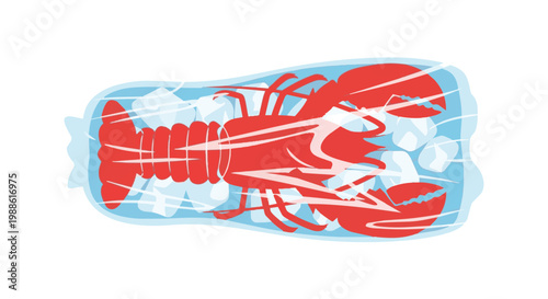 Top view vector illustration of a fresh red lobster packed in a transparent plastic bag with ice cubes for preservation, isolated on white background