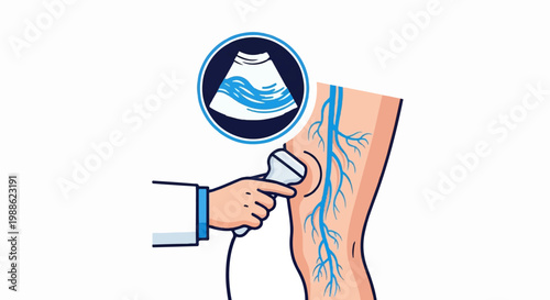 Medical ultrasound exam of leg veins by doctor