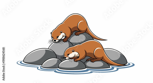 Two playful brown otters balance on grey river rocks with wavy blue water below